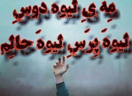 عکس لری زیبا