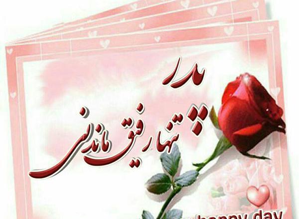 عکس گل روز پدر
