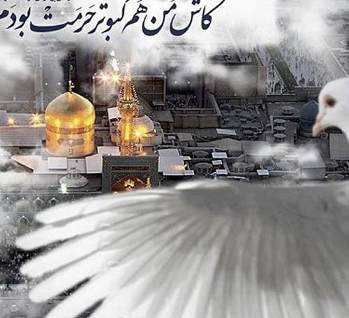 عکس پروفایل زیبا از حرم امام رضا