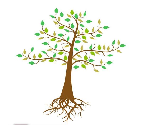 عکس سیاه افقی