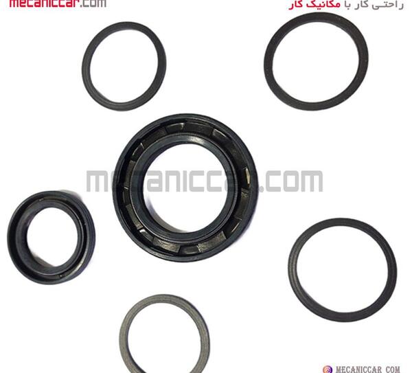 عکس شیر فرمان 405