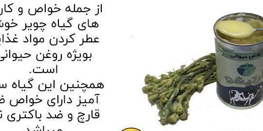 عکس گل چنور