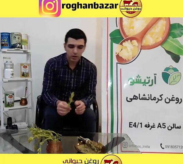 عکس گل چنور