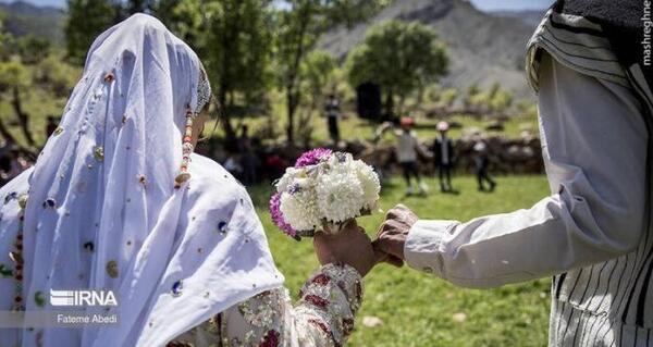 عکس گل چنور
