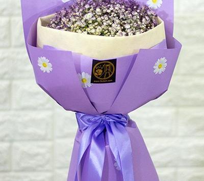 عکس گل ژیپسوفیلا بنفش