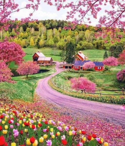 عکس برای پروفایل های زیبا