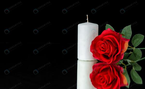 عکس گل تسلیت