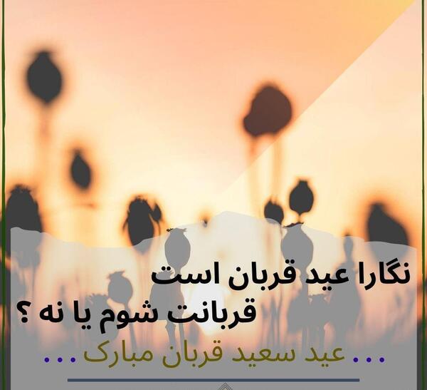 عکس داداش عید قربان مبارک