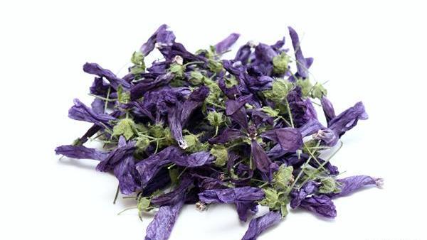 عکس گل پنیرک خشک شده