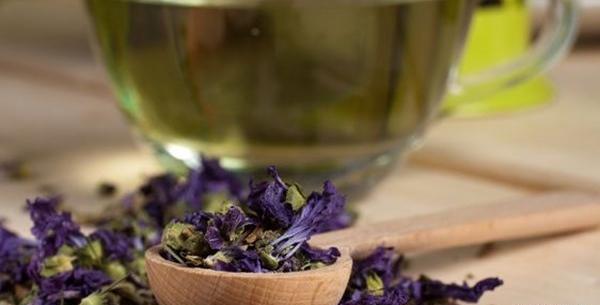 عکس گل پنیرک خشک شده