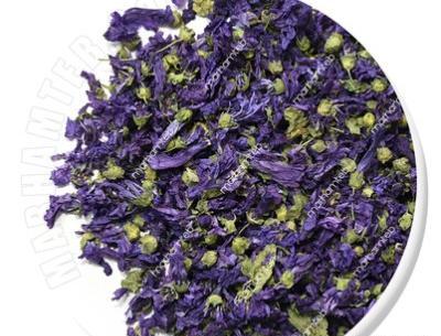عکس گل پنیرک خشک شده