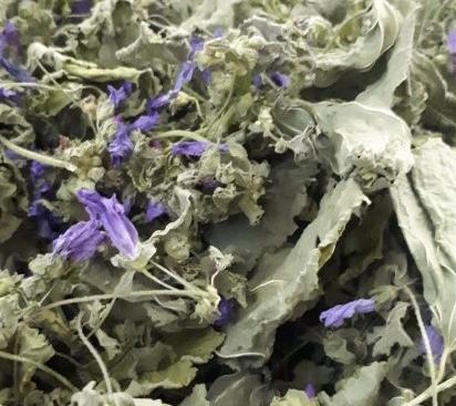 عکس گل پنیرک خشک شده