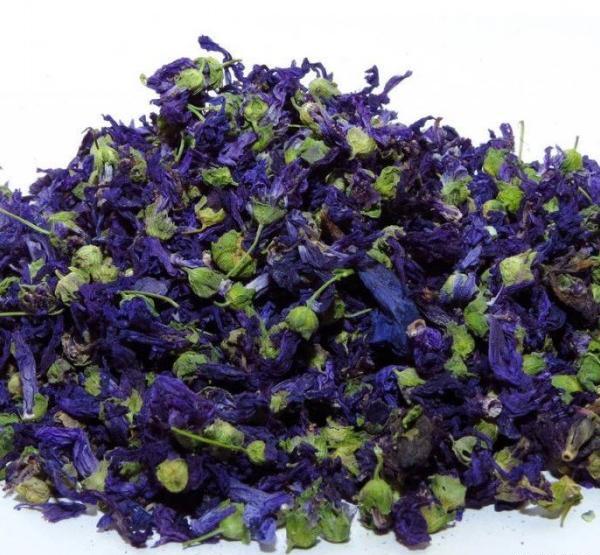 عکس گل پنیرک خشک شده