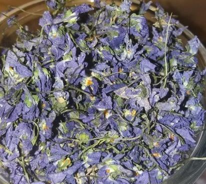 عکس گل پنیرک خشک شده