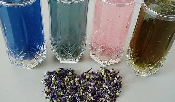 عکس گل پنیرک خشک شده