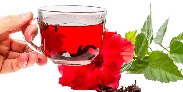 عکس گل چای ترش