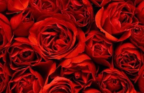 عکس مشکی گلدار
