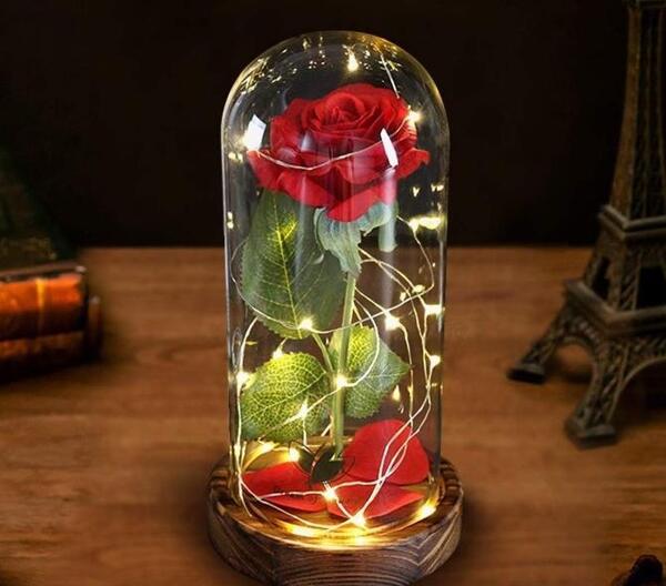 عکس گل عاشقانه رز