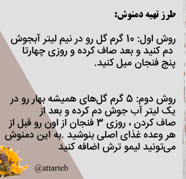 عکس گل همیشه بهار خشک شده