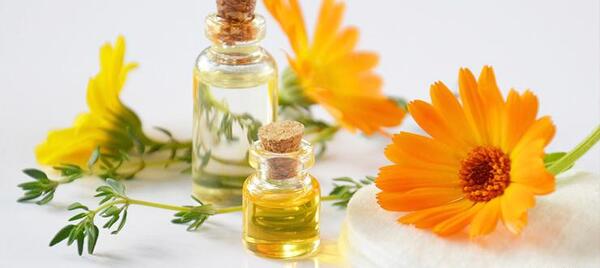 عکس گل همیشه بهار خشک شده