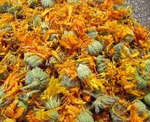 عکس گل همیشه بهار خشک شده