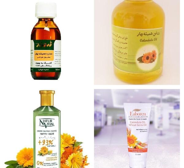 عکس گل همیشه بهار خشک شده