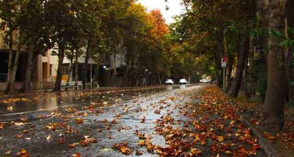 عکس تولدت مبارک رسمی