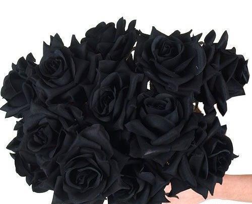 عکس مشکی گل رز