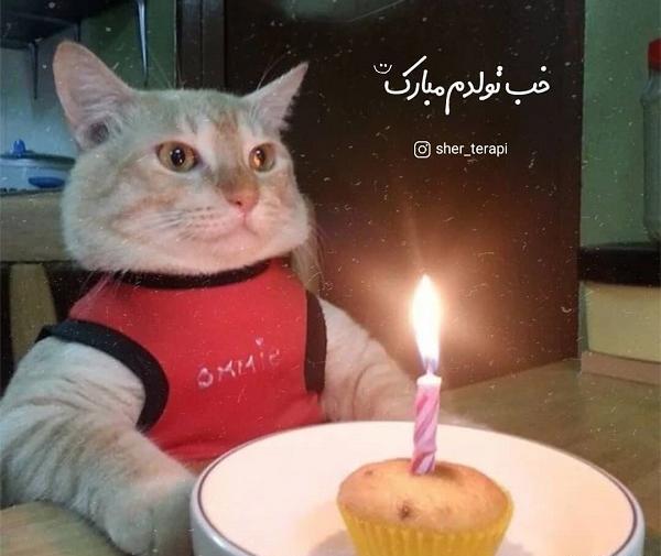 عکس تولدم مبارک با فونت زیبا