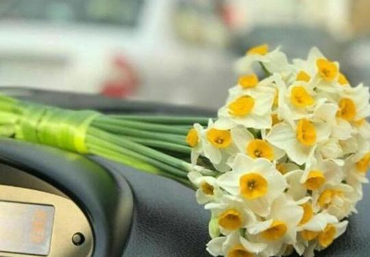 عکس تولدت مبارک گل نرگس