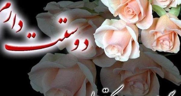 عکس گل برای عشقم