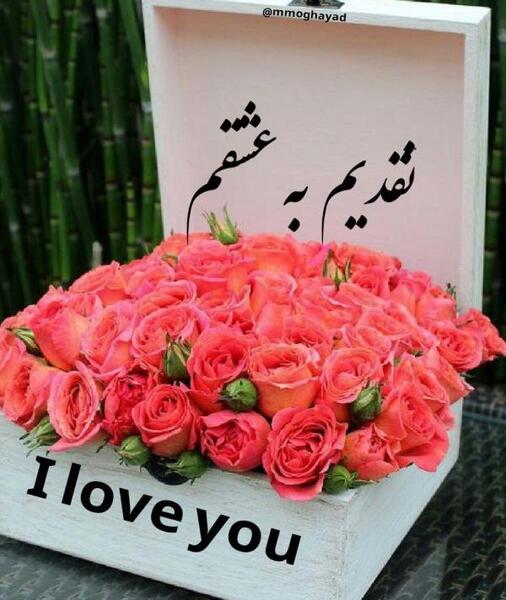 عکس گل برای عشقم