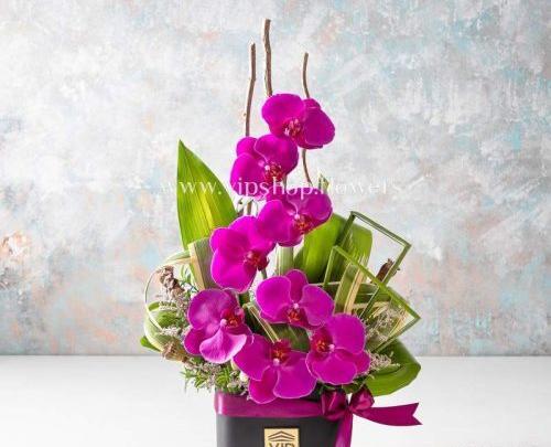 عکس گل برای عشقم