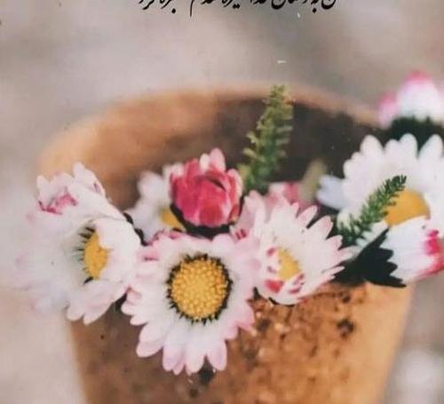 عکس پروفایل زیبا برای اینستا