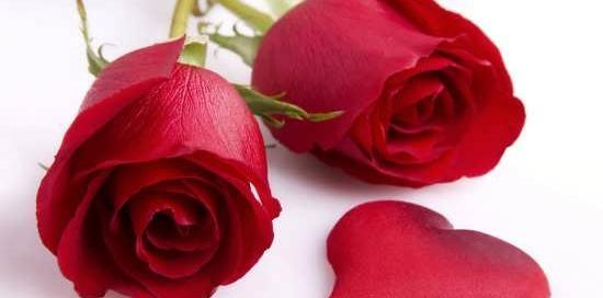 عکس پروفایل گل های زیبا