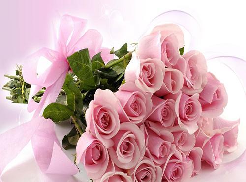 عکس پروفایل گل های زیبا