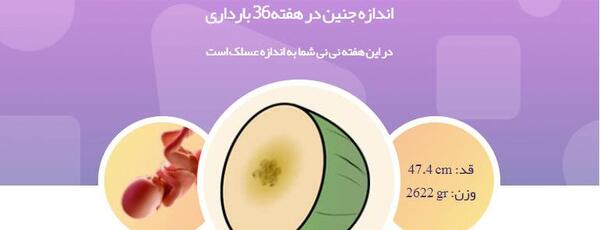 عکس نوزاد نه ماهه در شکم مادر
