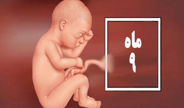عکس نوزاد نه ماهه در شکم مادر
