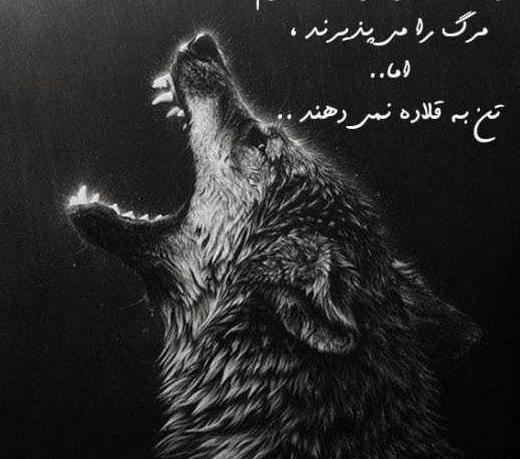 عکس پروفایل حیوان زیبا
