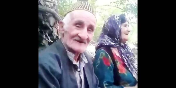 عکس شاخه گل روز پدر
