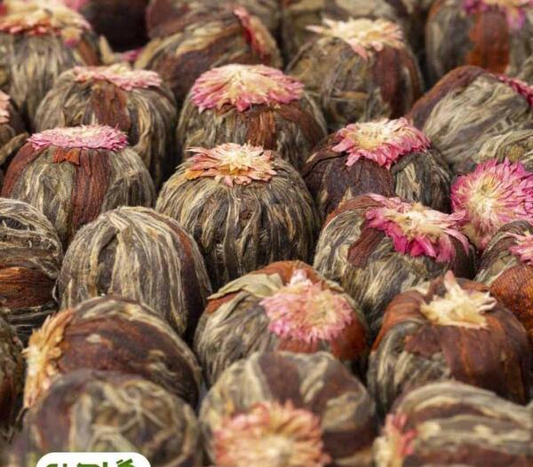 عکس گل چای سفید