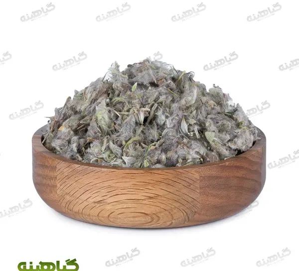 عکس گل چای سفید