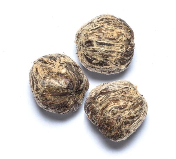 عکس گل چای سفید