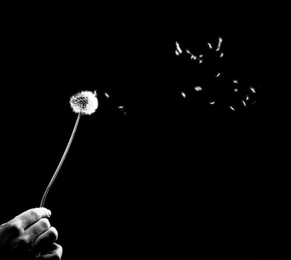 عکس صفحه مشکی برای پروفایل