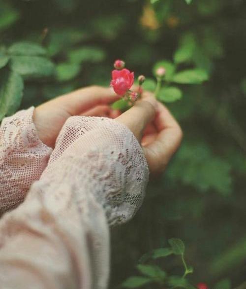عکس گل پروفایل دخترونه