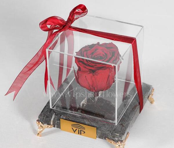 عکس گل برای روز مادر