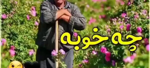 عکس درباره ی روز پدر