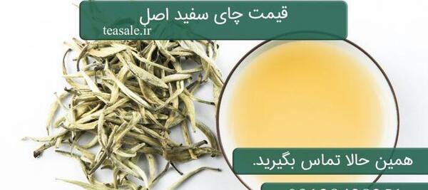 عکس چای سفید اصل