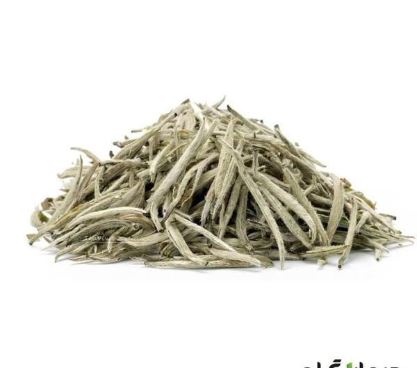 عکس چای سفید اصل