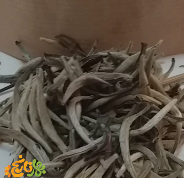 عکس چای سفید اصل